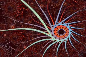 fractal image
