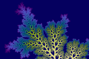 fractal image